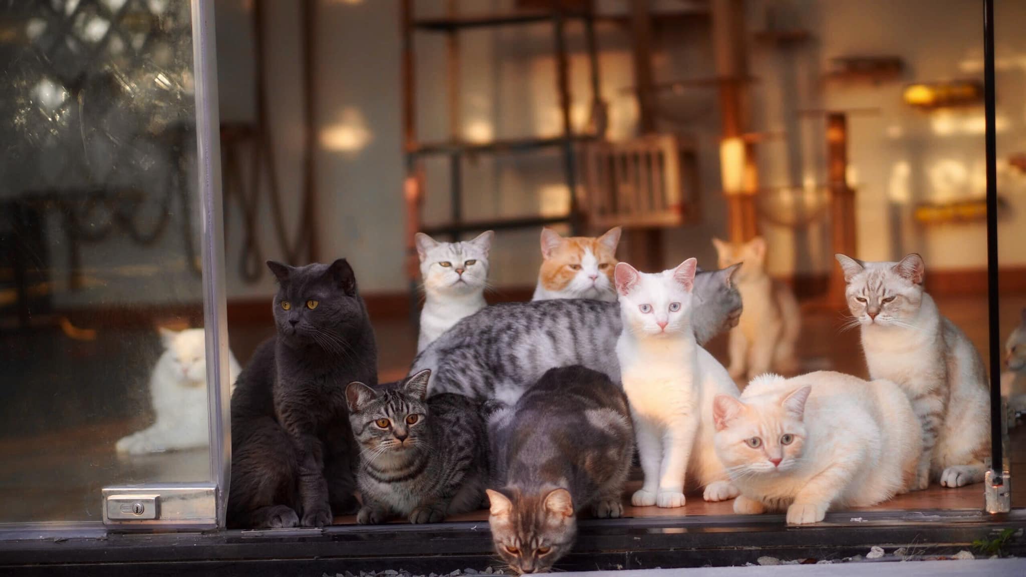 605773306 122180372270476310 232459719845363101 n